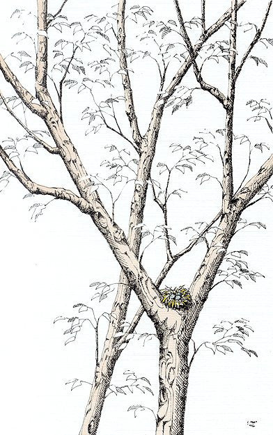"Treehouse"
